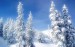 Mountain_snow_forest